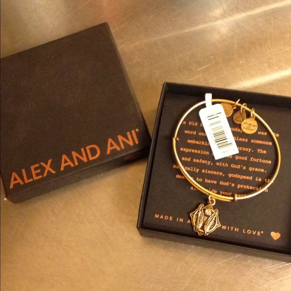 Alex and Ani Jewelry - New Alex and ani bracelet